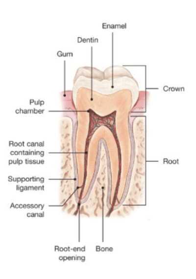 root-banner-5 root-banner-5